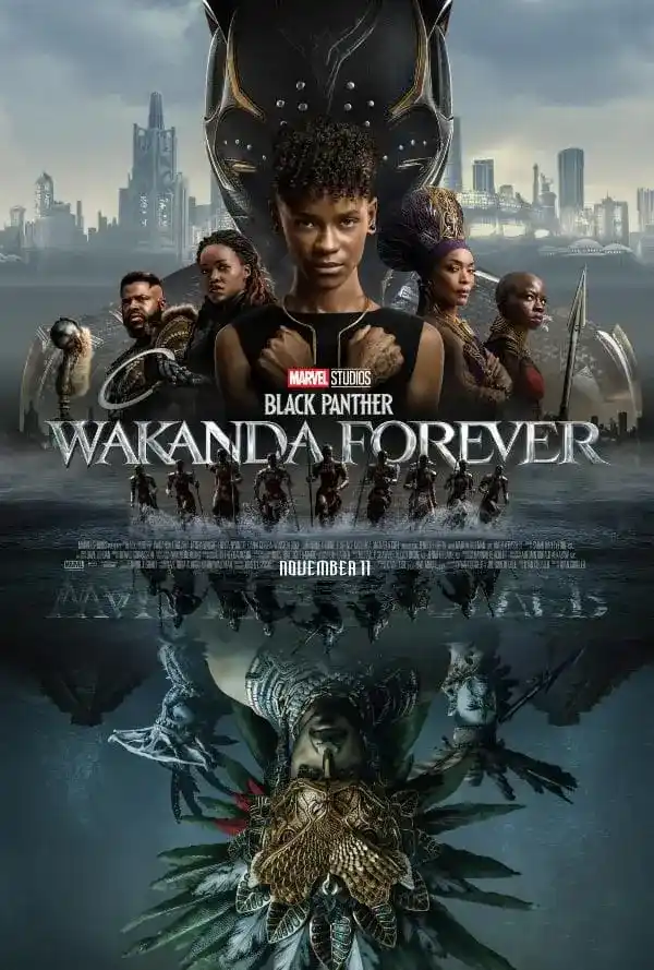 #3 Black Panther: Wakanda Forever (2022)